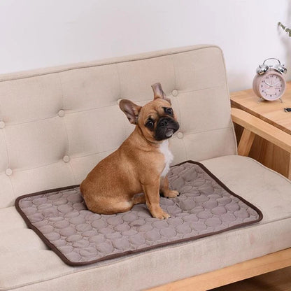 PetCarts ChillPad — Summer Relief Pad