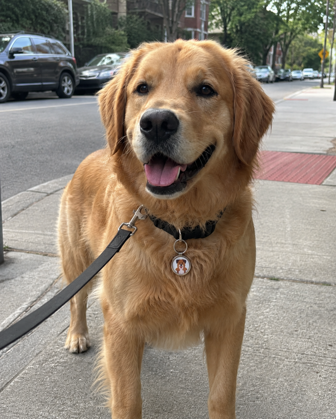 PetCarts TapTag — Instant Pet ID 🐾